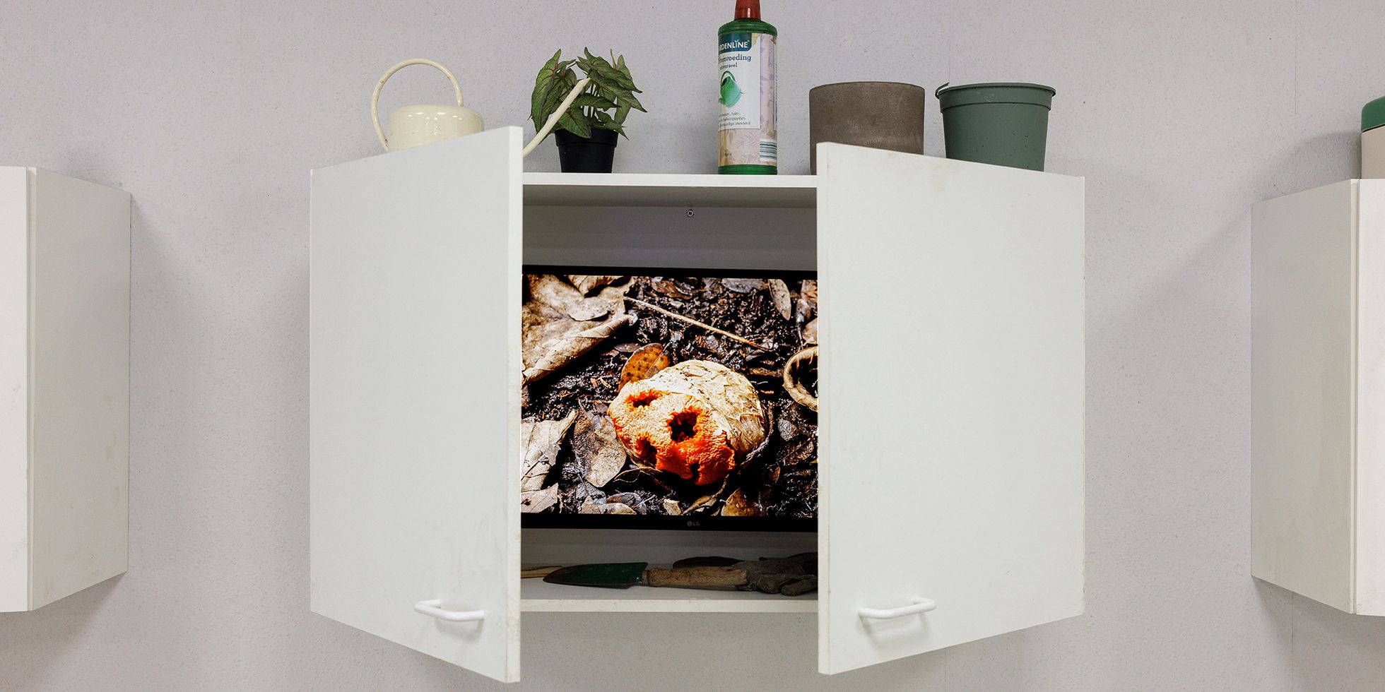 FUNGI: Anarchist Designers, Nieuwe Instituut