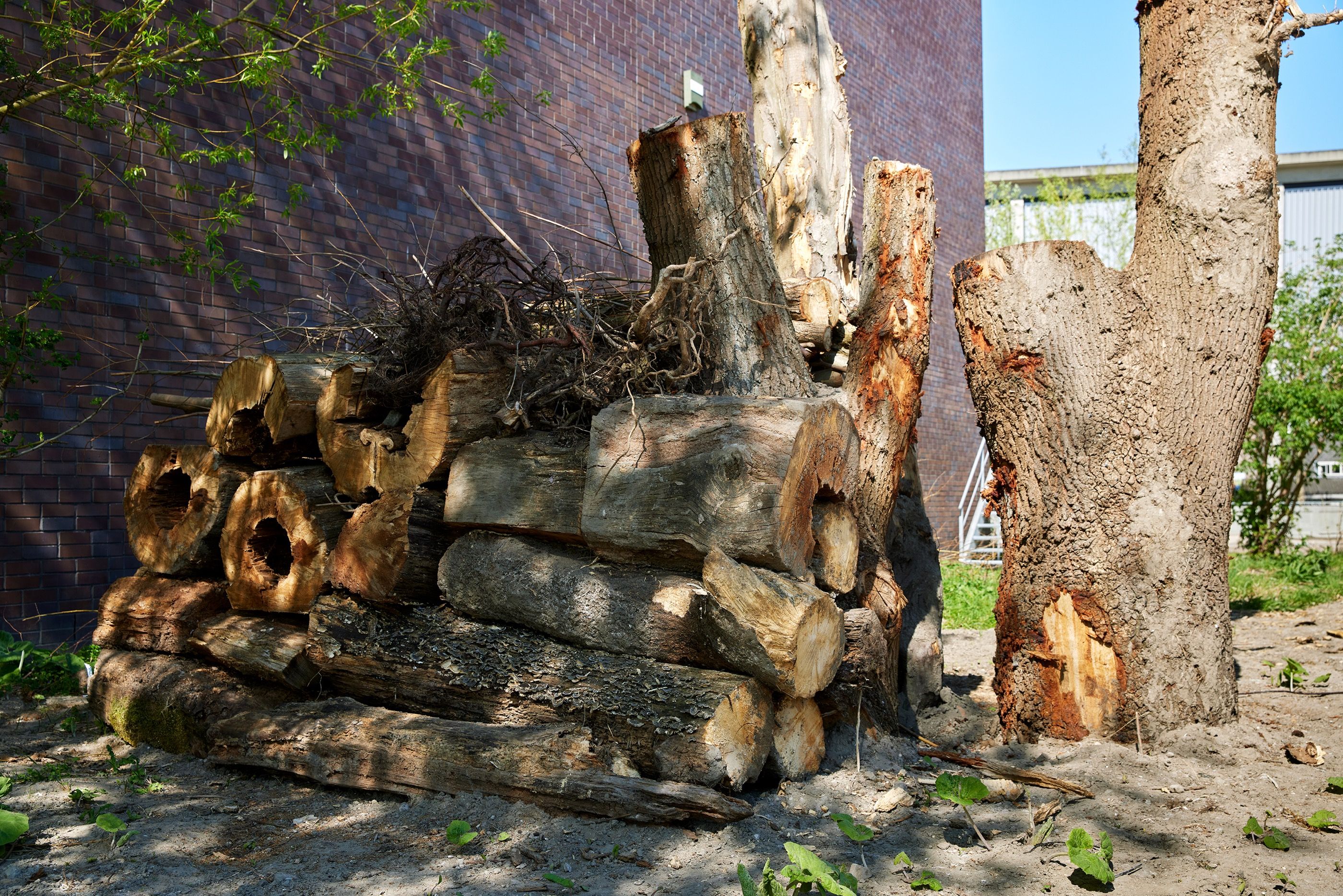 Studenten ArtScience doen onderzoek in De Nieuwe Tuin Studenten ArtScience doen onderzoek in De Nieuwe Tuin