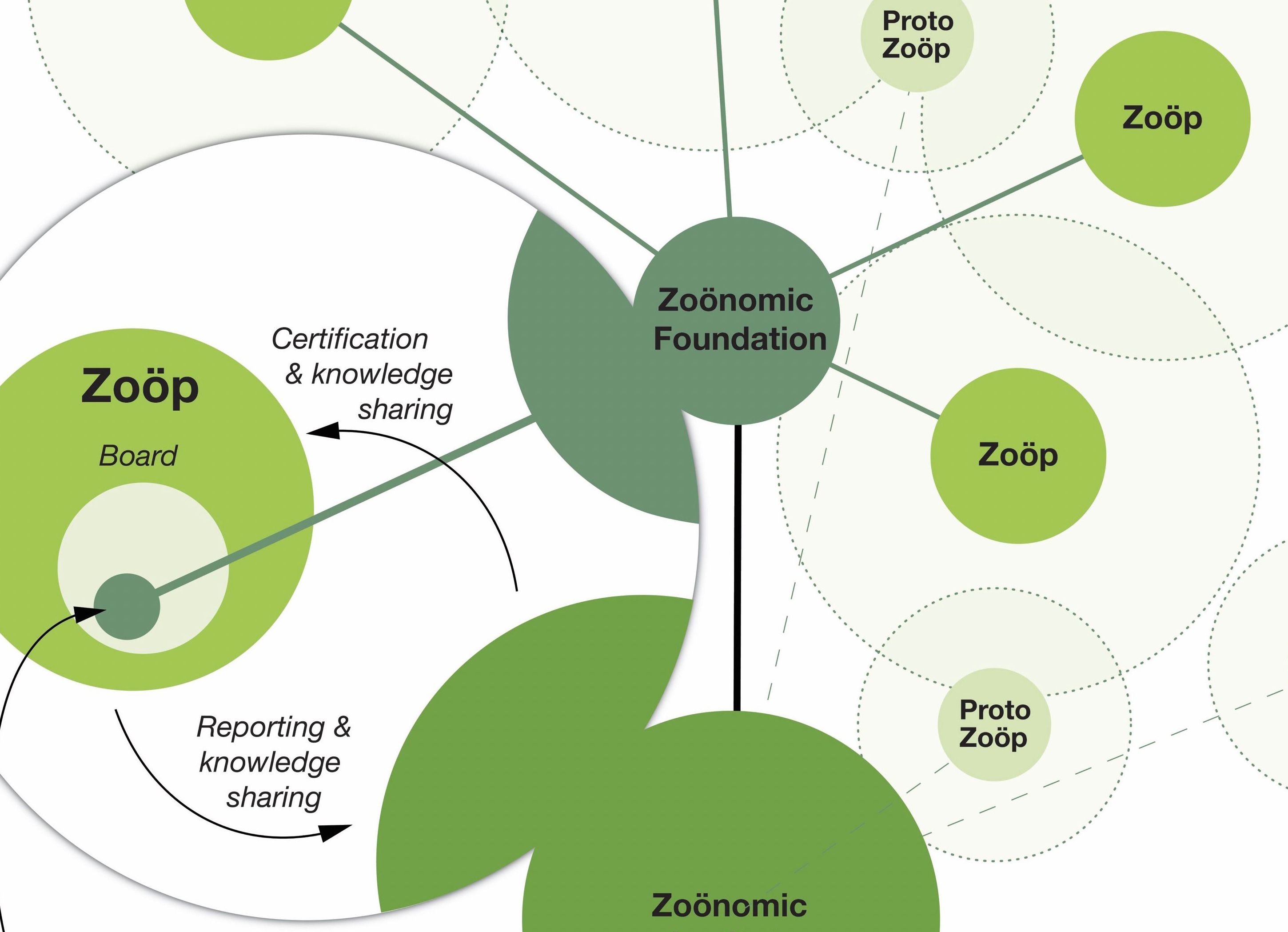 Zoöp Model